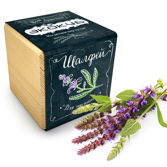 Набор для выращивания Wood Black / Шалфей Набор для выращивания Wood Black / ШалфейНаборы для выращивания<br>Экокуб серии Bon Appetitt это замечательный способ вырастить свежую зелень к столу в домашних условиях без особых усилий и затрат. Сделай свои блюда ароматнее, а кухню - зеленее, не пачкая при этом руки в грунте и не ломая голову над тем, какие семена и удобрения лучше. Просто поливай землю по мере ее высыхания, и твой новый зеленый друг не заставит себя долго ждать!<br><br>В чём плюсы:<br><br> В наборе небольшой деревянный куб с грунтом и семена шалфея.<br> Экокуб очень прост в использовании:<br>- сними защитн...<br><br>Растение: Шалфей<br>Вес г: 191