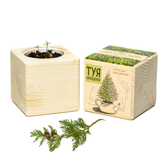 Набор для выращивания Wood Pine / Туя Набор для выращивания Wood Pine / ТуяНаборы для выращивания<br>Сделай свое окружение зеленее, а воздух чище, не пачкая при этом руки в грунте и не ломая голову над тем, какие семена и удобрения лучше подобрать.<br>Вовремя поливай растение, и твой новый зеленый друг не заставит себя долго ждать!<br><br><br>В чём плюсы:<br> В набор для выращивания входят<br>- деревянный куб;<br>- дренаж;<br>- питательный грунт;<br>- семена туи;<br> Экокуб очень прост в использовании<br>- расслои ватный диск на две части и распредели между половинками половину семян, смочи диск и убери в пакетик для сем...<br><br>Растение: Туя<br>Вес г: 236