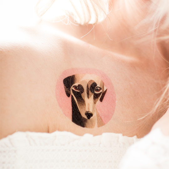 Татуировка переводная Sasha Unisex Whippet Татуировка переводная Sasha Unisex WhippetПереводные татуировки<br>Sasha Unisex - создатель уникального стиля акварельной татуировки. Входит в TOP-10 лучших тату-художников в мире.<br>Теперь ты можешь примерить её замечательные тату на себе.<br><br><br>В чём плюсы:<br> В упаковке одна переводная татуировка и инструкция на русском и английском языках.<br> Эскиз каждой татуировки рисуется акварелью, после чего по уникальной технологии переносится на специальную основу.<br> Тату будет держаться до 10 дней, в зависимости от места её нанесения.<br> Выполнены из материалов, абсолютно без...<br><br>Вес г: 3