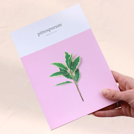 Ежедневник 1 Month Nature / Pittosporum Ежедневник 1 Month Nature / PittosporumНедатированные<br>В чём плюсы:<br> В ежедневнике 64 страницы.<br> Продуман до мелочей и включает в себя<br>- план на месяц - 4 страницы;<br>- план на неделю - 5 страниц;<br>- планирование дня - 35 страниц;<br>- листы в линейку для заметок и записей - 18 страниц;<br> Прозрачная обложка защитит ежедневник от изнашивания и влаги. <br> Планируй свой день по часам. Каждому часу соответствуют 2 строчки для заметок или предстоящих встреч.<br> Составляй To-Do лист на день и отмечай каждое выполненное дело галочкой в соответствующем кружочке.<br>...<br><br>Дизайн: Pittosporum<br>Вес г: 173