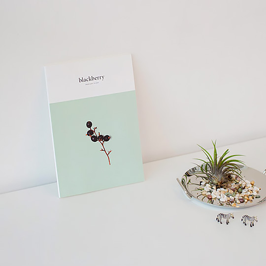 Ежедневник 1 Month Nature / Blackberry Ежедневник 1 Month Nature / BlackberryНедатированные<br>В чём плюсы:<br> В ежедневнике 64 страницы.<br> Продуман до мелочей и включает в себя<br>- план на месяц - 4 страницы;<br>- план на неделю - 5 страниц;<br>- планирование дня - 35 страниц;<br>- листы в линейку для заметок и записей - 18 страниц;<br> Прозрачная обложка защитит ежедневник от изнашивания и влаги. <br> Планируй свой день по часам. Каждому часу соответствуют 2 строчки для заметок или предстоящих встреч.<br> Составляй To-Do лист на день и отмечай каждое выполненное дело галочкой в соответствующем кружочке.<br>...<br><br>Дизайн: Blackberry<br>Вес г: 174