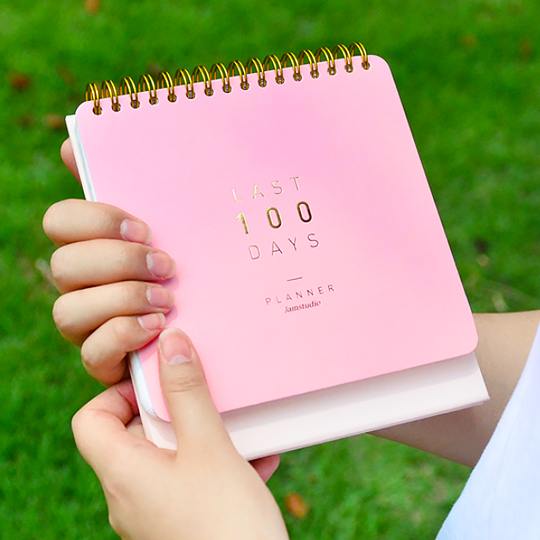Планинг 'Last 100 Days'