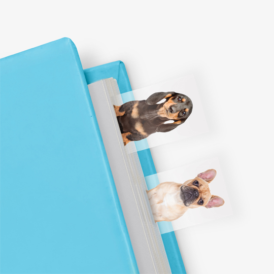 Закладка 'Dog in a Book', набор 100 шт