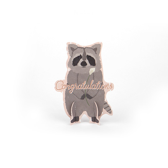 Открытка 'Animal Ornament' / Racoon