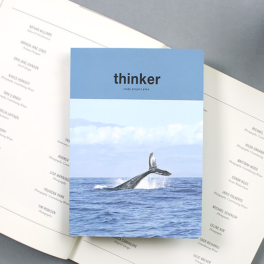 Планинг 'Thinker'