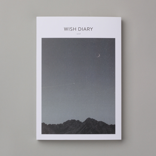 Планинг датированный 2019 'Wish diary' / Starlit night