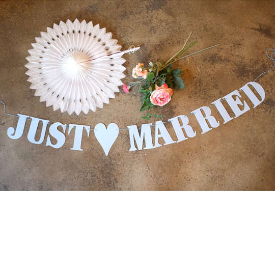 Гирлянда 'Just Married' / Голубой
