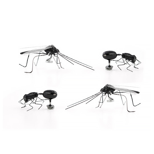 Магниты 'Insect', набор 4 шт.