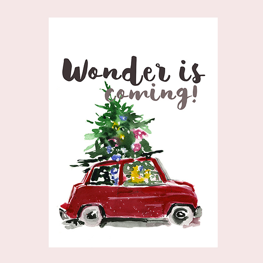 Открытка 'Wonder is coming'