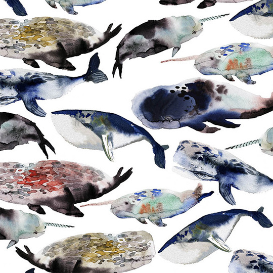 Бумага упаковочная двусторонняя 'Whales'