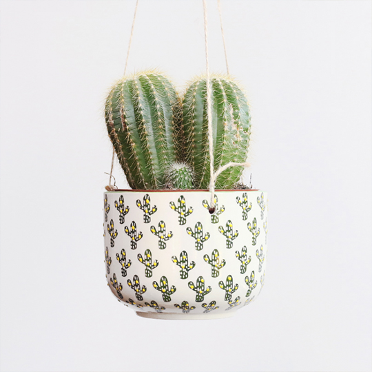 Кашпо подвесное 'Cactus'