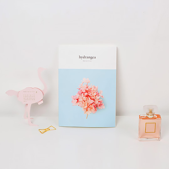 Ежедневник 1 Month Nature / Hydrangea Ежедневник 1 Month Nature / HydrangeaНедатированные<br>В чём плюсы:<br> В ежедневнике 64 страницы.<br> Продуман до мелочей и включает в себя<br>- план на месяц - 4 страницы;<br>- план на неделю - 5 страниц;<br>- планирование дня - 35 страниц;<br>- листы в линейку для заметок и записей - 18 страниц;<br> Прозрачная обложка защитит ежедневник от изнашивания и влаги. <br> Планируй свой день по часам. Каждому часу соответствуют 2 строчки для заметок или предстоящих встреч.<br> Составляй To-Do лист на день и отмечай каждое выполненное дело галочкой в соответствующем кружочке.<br>...<br><br>Дизайн: Hydrangea<br>Вес г: 171