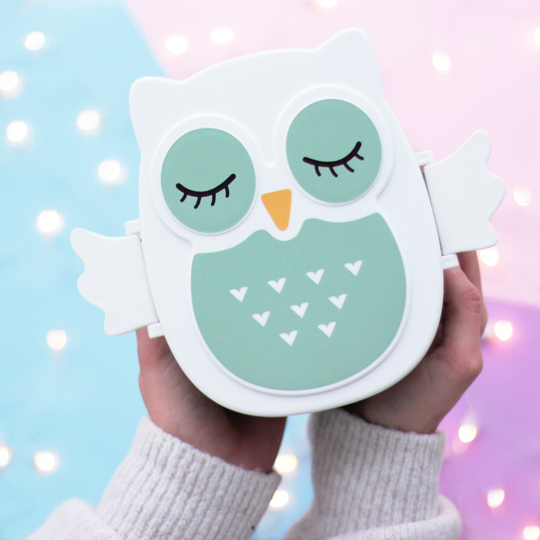 Ланчбокс 'Sweet owl' / Sleeping
