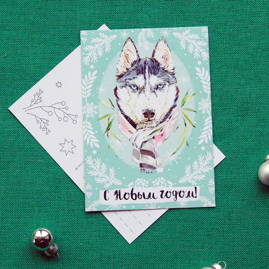 Открытка 'Хаски'