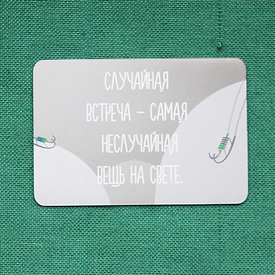 Магнит 'Случайная встреча'