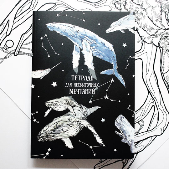 Тетрадь 'Для несбыточных мечтаний'