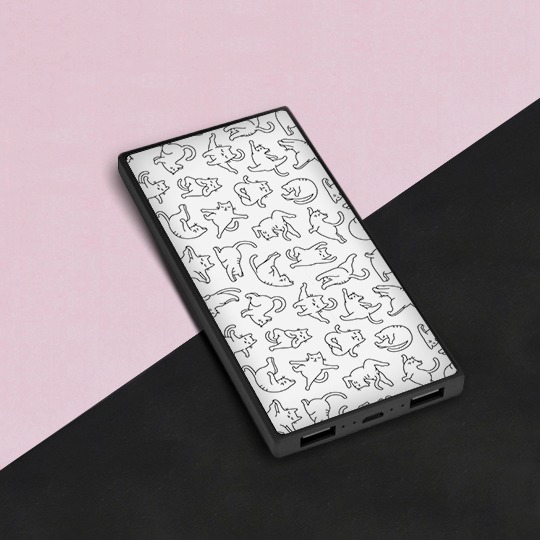 

Аккумулятор внешний 5000 mAh 'Коты-гимнасты'