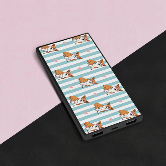 

Аккумулятор внешний 5000 mAh 'Корги'