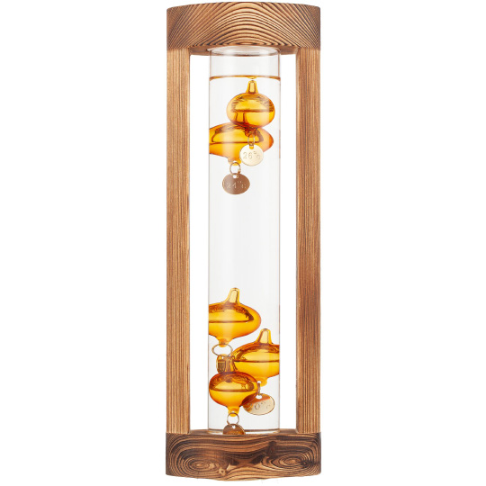 Термометр 'Galileo'