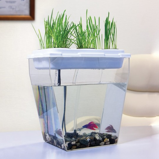 Аквасад 'Smart Fish Basic'