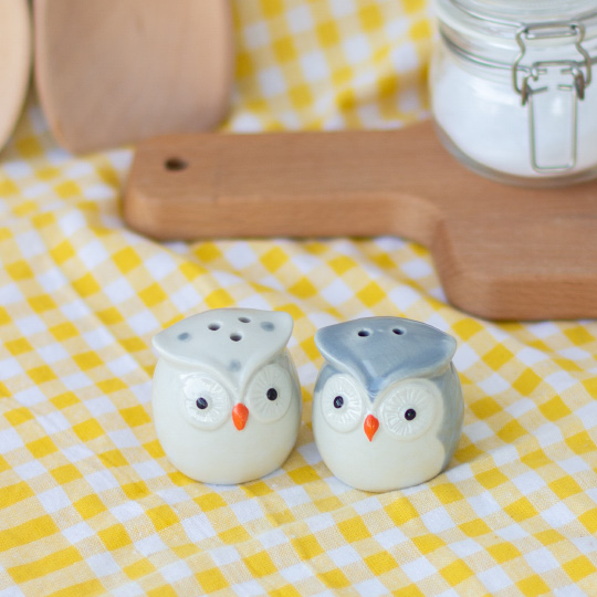 Набор солонка и перечница 'Little owl'