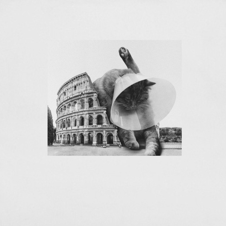 Сумка-шоппер 'Cat in Rome'