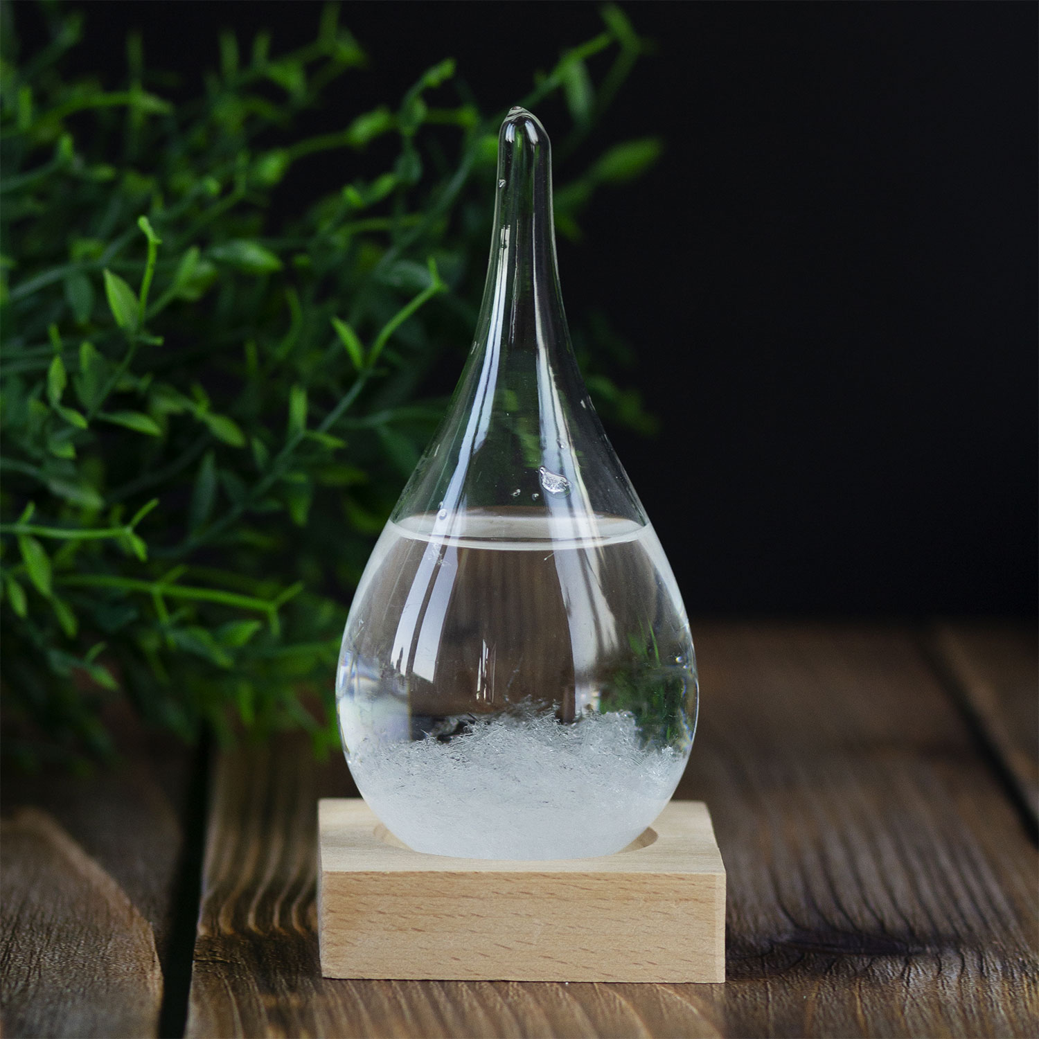 Предсказатель погоды "Drop"