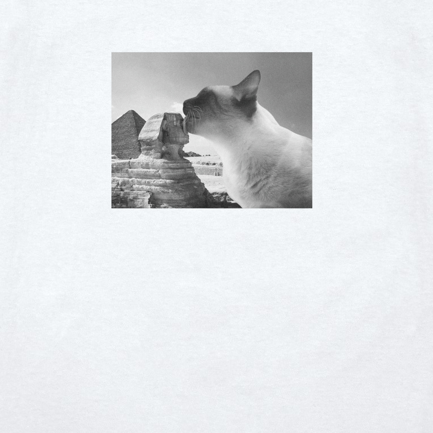 Футболка унисекс 'Cat in Egypt' 