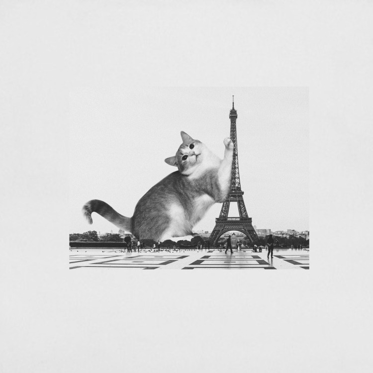 Сумка-шоппер 'Cat in Paris'