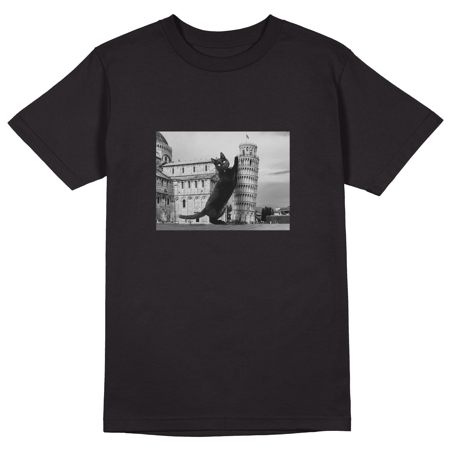 Футболка унисекс 'Cat in Pisa' 