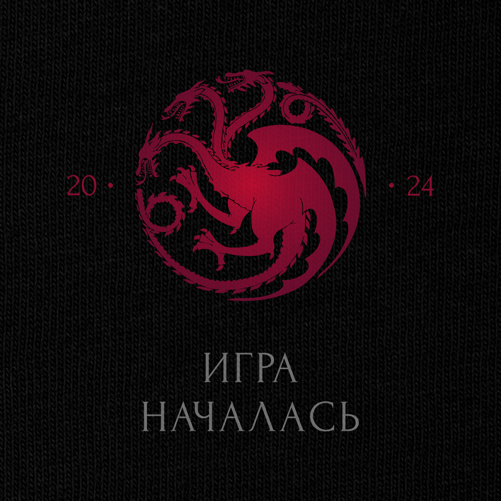 Футболка унисекс 'Игра началась' 
