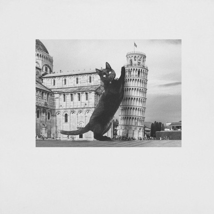 Сумка-шоппер 'Cat in Pisa'