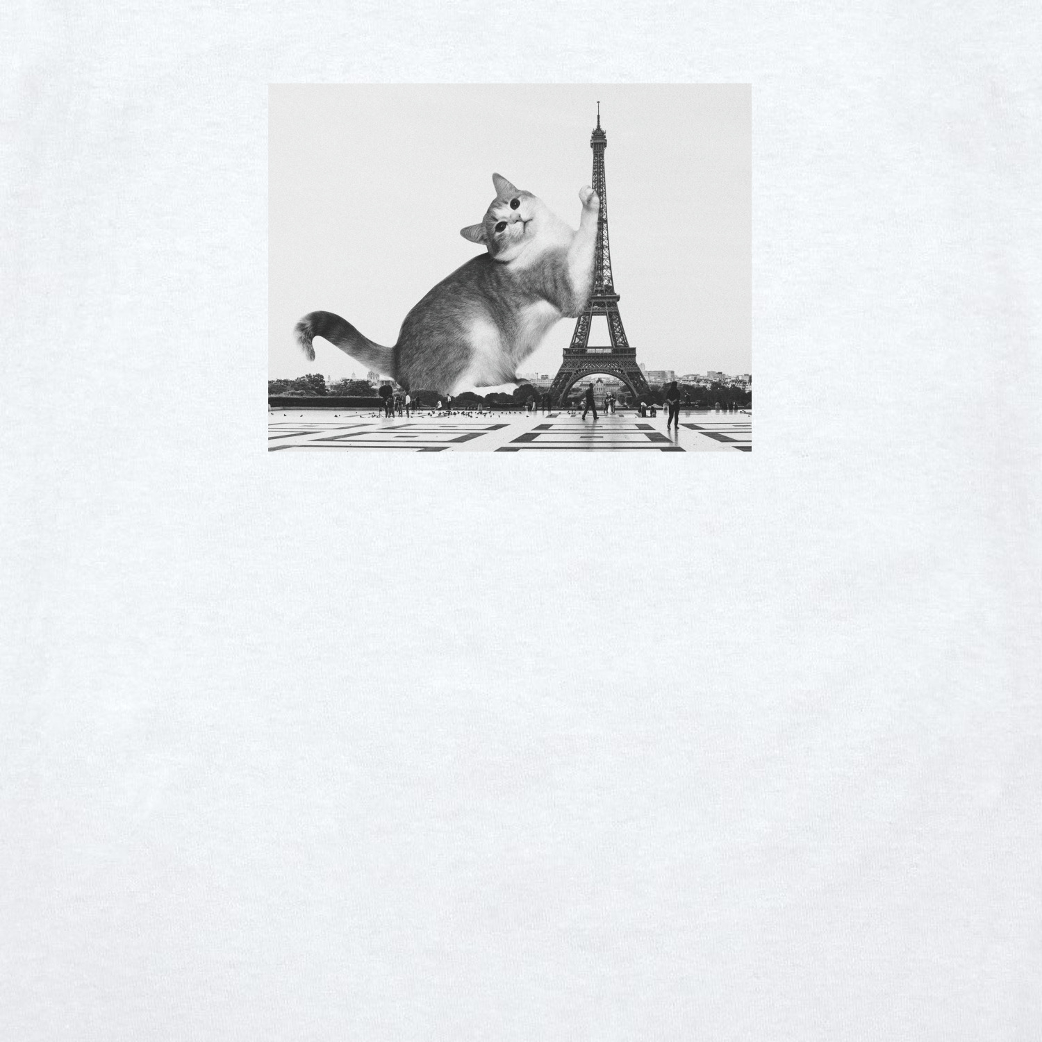 Футболка унисекс 'Cat in Paris' 