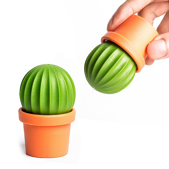 Набор для специй 'Cactus'