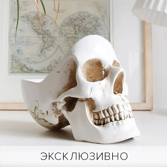 

Органайзер для мелочей 'Skull' (разные цвета) / Белый