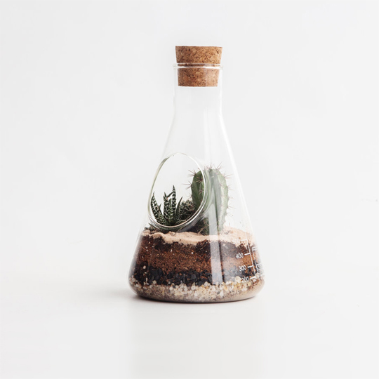 Флорариум 'Chemistry'