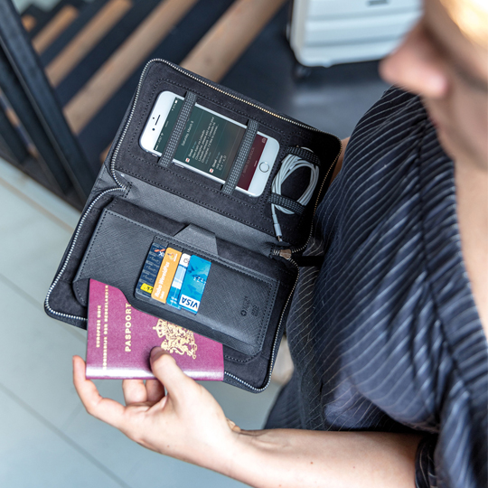 Органайзер дорожный с RFID-защитой 'Driveway'