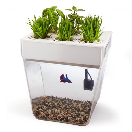 Акваферма для рыбки 'Home, Fish Home Premium'