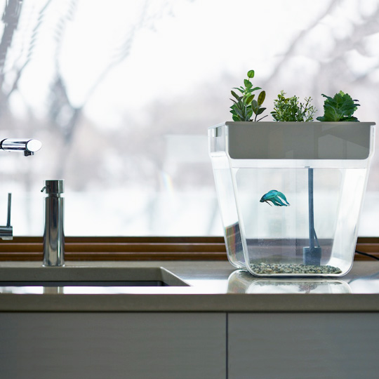 Акваферма для рыбки 'Home, Fish Home Premium'