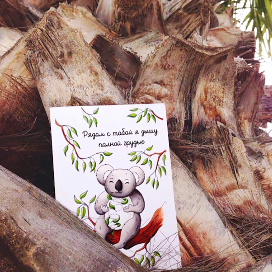 Открытка 'Коала'