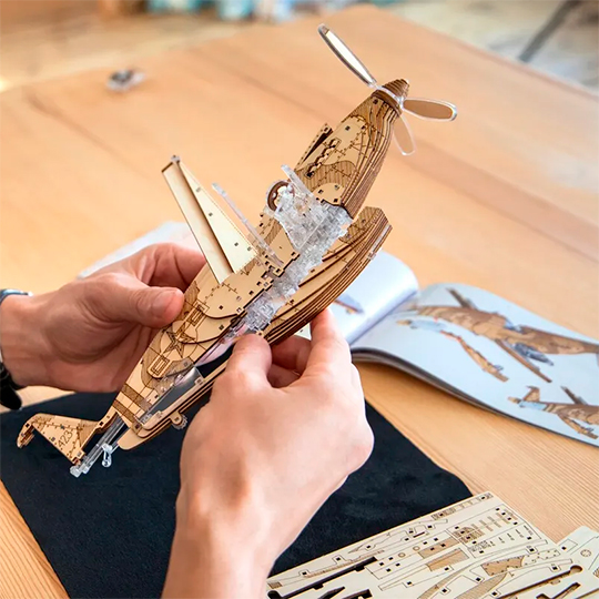 Сборная модель Veter Models - Speedfighter