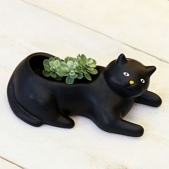 Кашпо для растений 'Black cat'