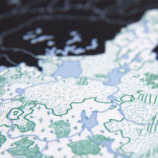 Сумка-авоська 'Карта лесов'