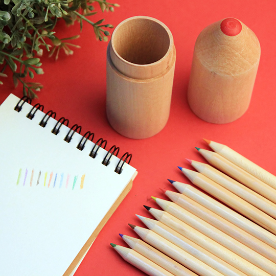 Набор цветных карандашей 'Pencil', 12 шт