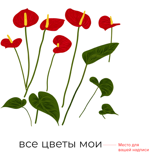 Футболка унисекс 'Anthurium' с вашей надписью