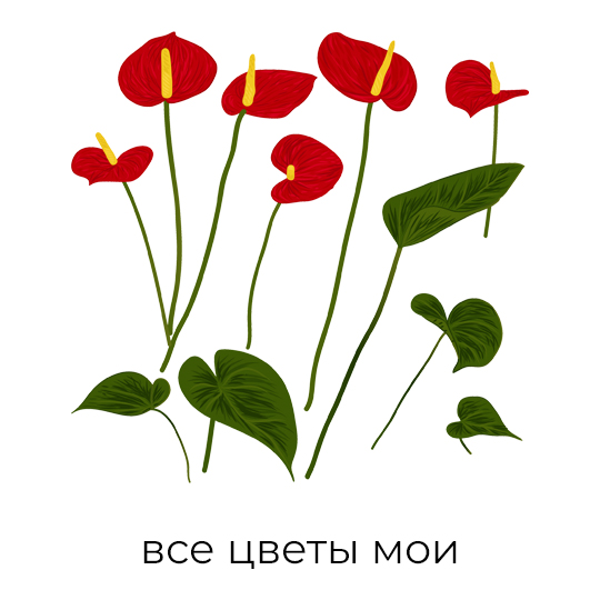 Футболка унисекс 'Anthurium' с вашей надписью