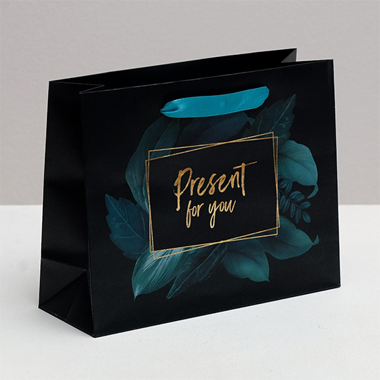 Пакет подарочный 'New present'