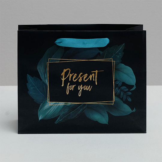 Пакет подарочный 'New present'