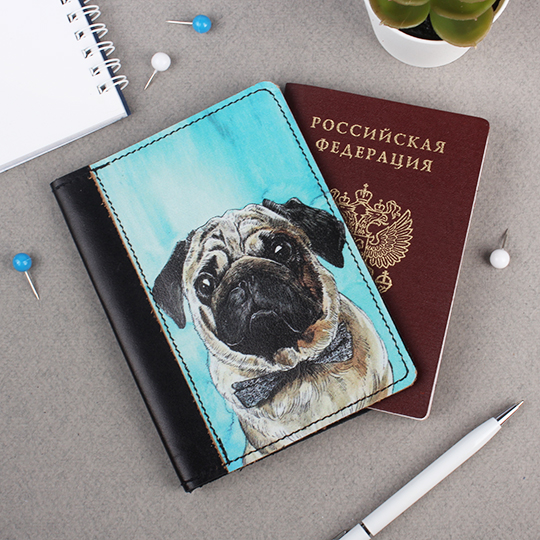 Обложка для паспорта 'Фури'