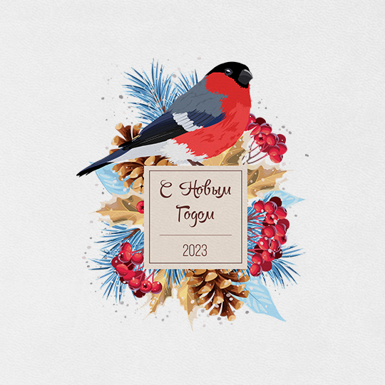 Ежедневник 'Christmas bullfinch'